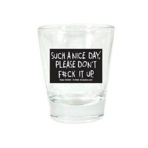 Such A Nice Day Shot Glass